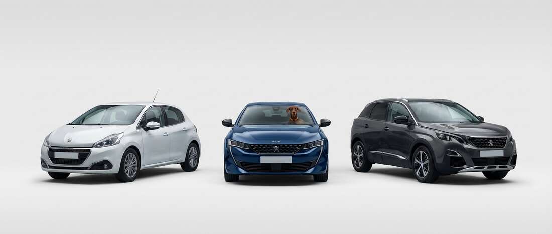 Banner image for Peugeot color code locations