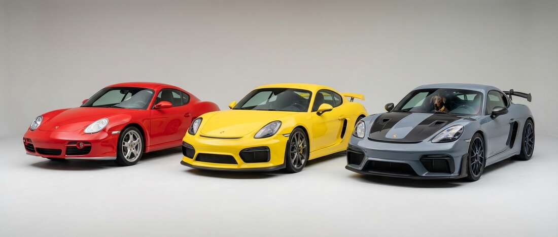 Porsche Cayman Touch Up Paint