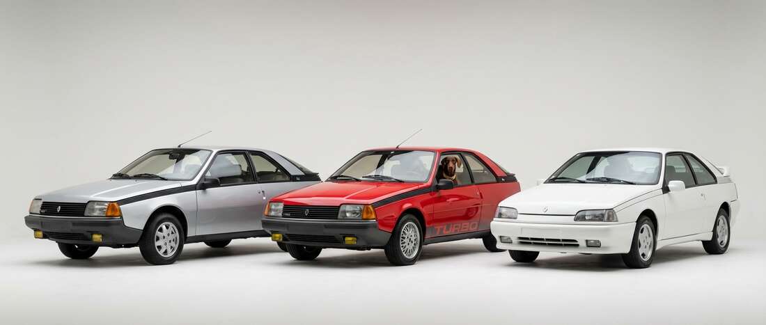 Renault Fuego Touch Up Paint