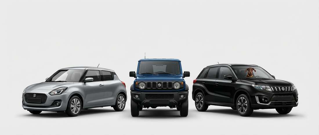 Banner image for Suzuki color code locations