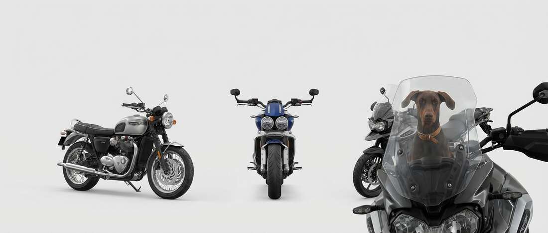 Banner image for Triumph color code locations