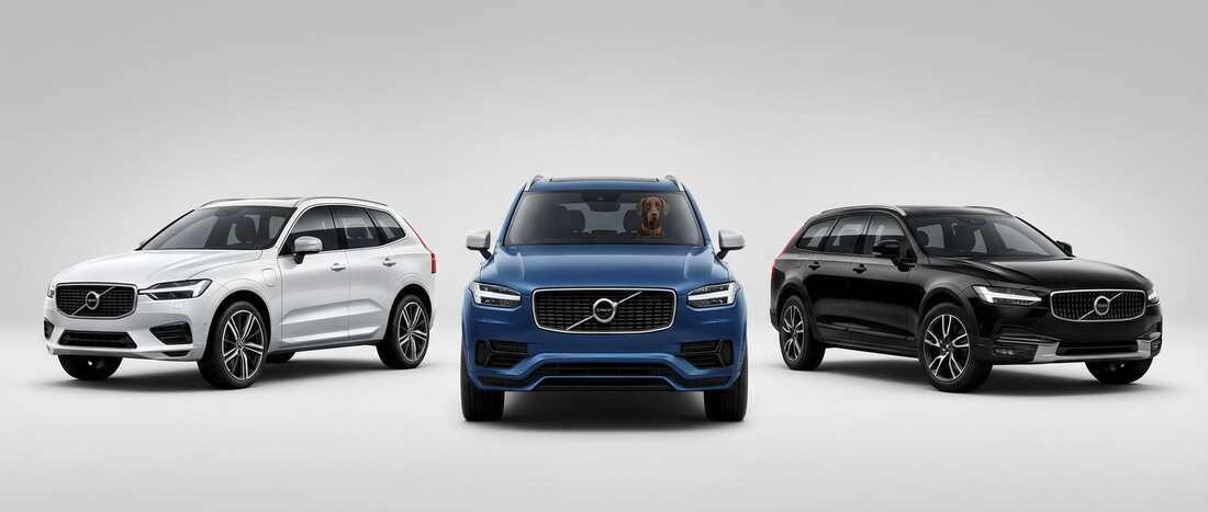 Volvo Touch Up Paint