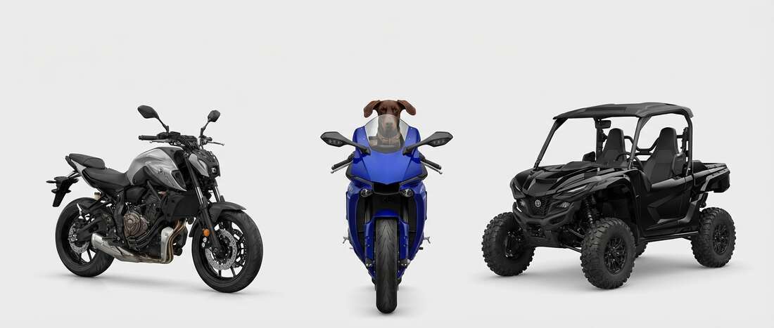 Banner image for Yamaha color code locations