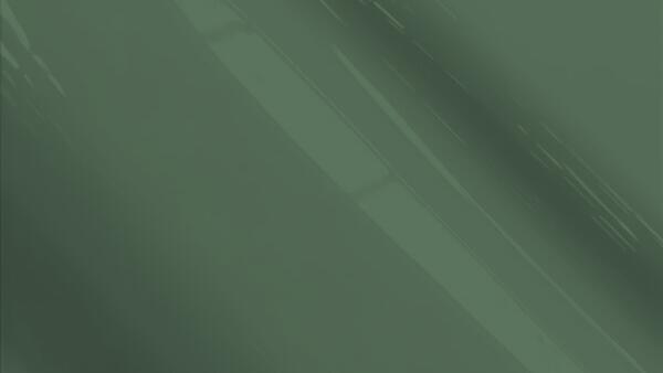 Exceed Green Metallic