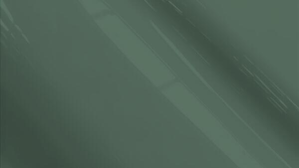 Savanna Green Metallic