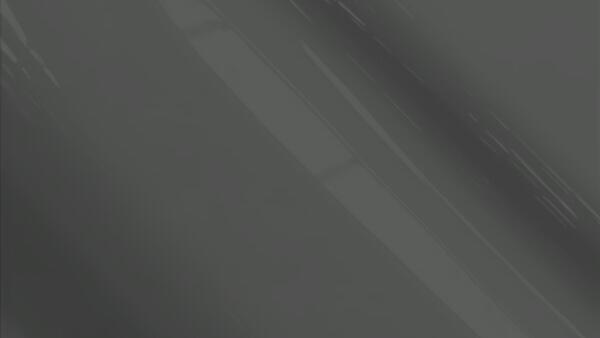 Medium Platinum Metallic