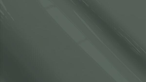 Arctic Gray Metallic