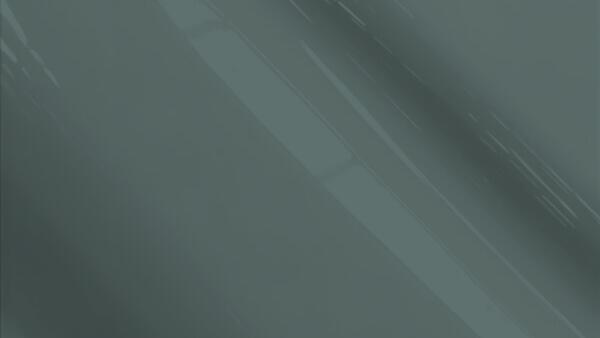 Greenish Gray Metallic