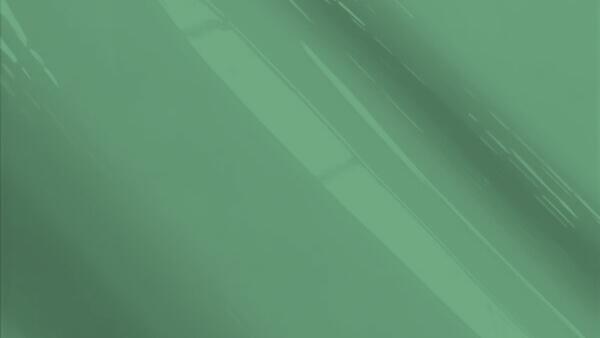 Inca Green Pearl Metallic