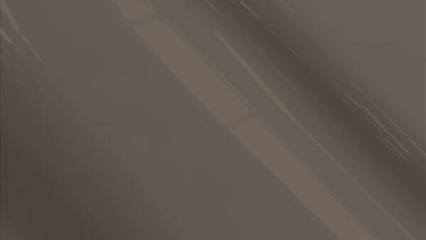 Medium Gray (Interior)