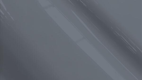 Costal Gray Metallic