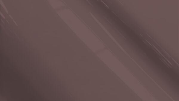 Sienna Brown Metallic