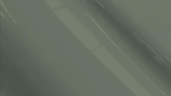 Medium Titanium Pearl Metallic