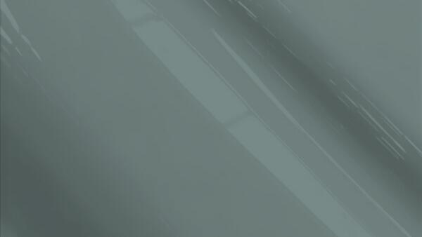 M/S Grey (matt) Metallic