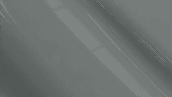 Light Opal Gray Pearl  (Trim)