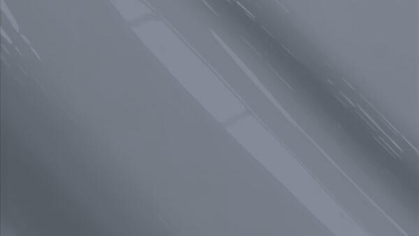 Falcon Gray Metallic