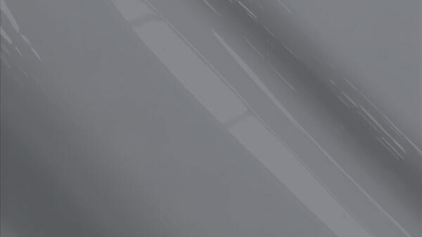 Medium Gray Metallic