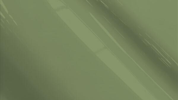 Olive Green Metallic