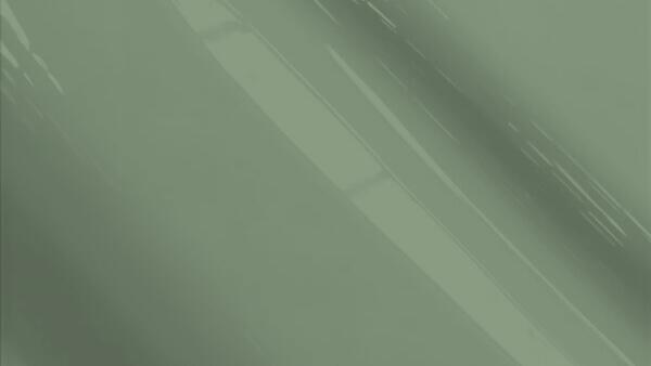 Medium Gray Metallic