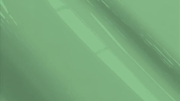 Medium or Avocado Green Poly