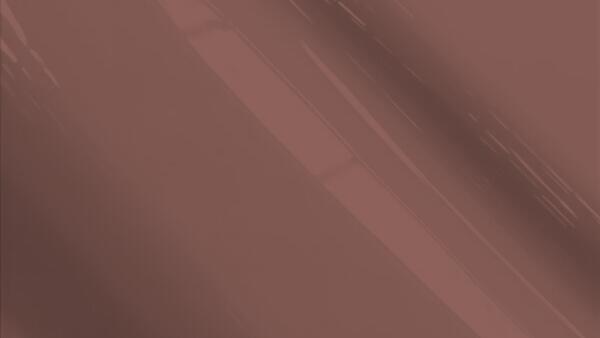 Coffee Brown Metallic