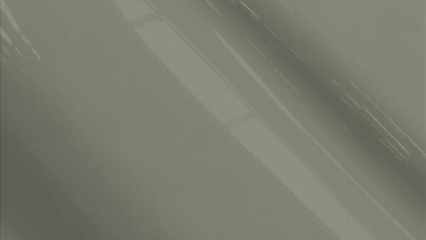 Kaiser Silver Metallic