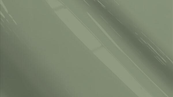 Gray Pearl Metallic (Cladding)