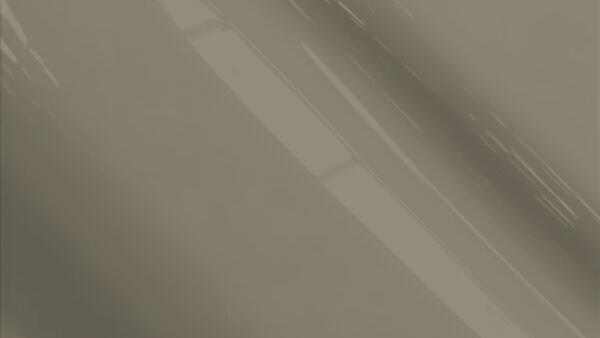 Mineral Gray Metallic