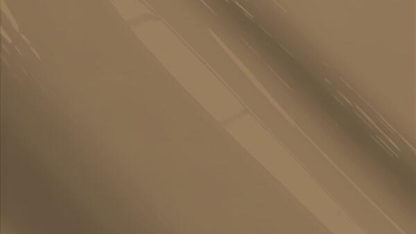 Brownish Silver Metallic