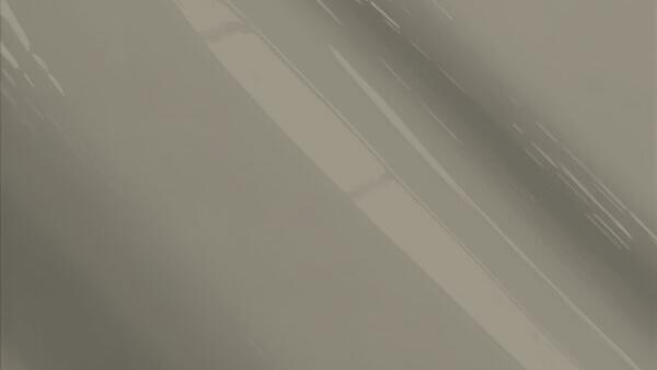 Mercury Gray Metallic