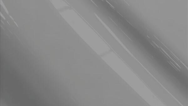 Silver Sage Metallic