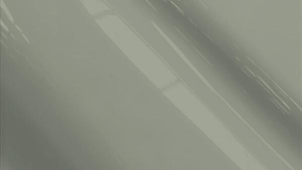 Medium Pewter Gray Metallic