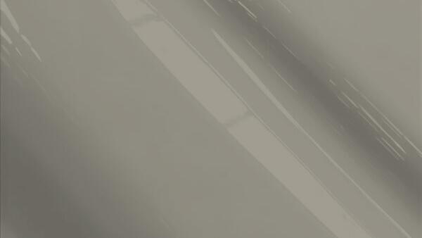 Platinum Silver Metallic