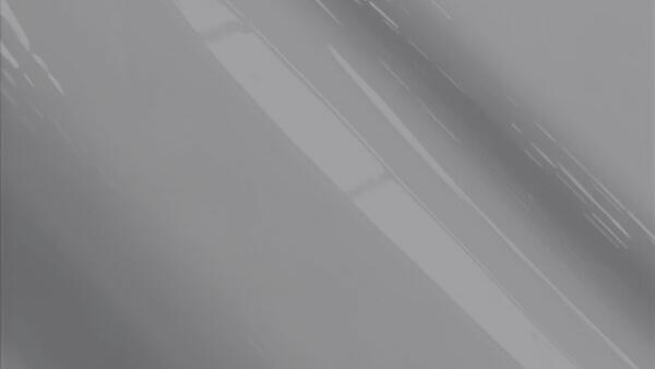 Mist Gray (Interior color)