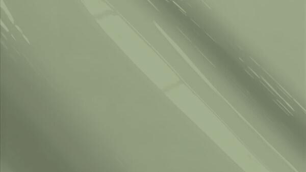 Olive Green Metallic