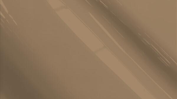 Sienna Gray Pearl Metallic