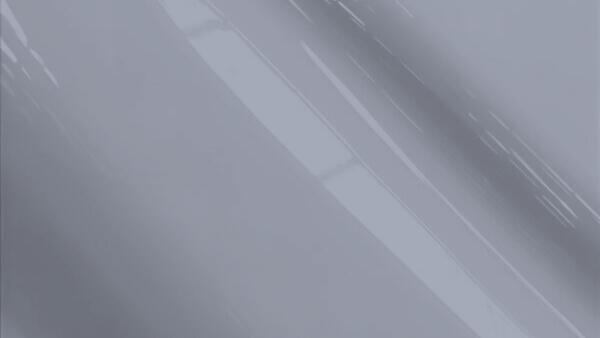 Polar Silver Metallic