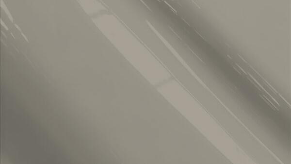 Shadow Gray Metallic