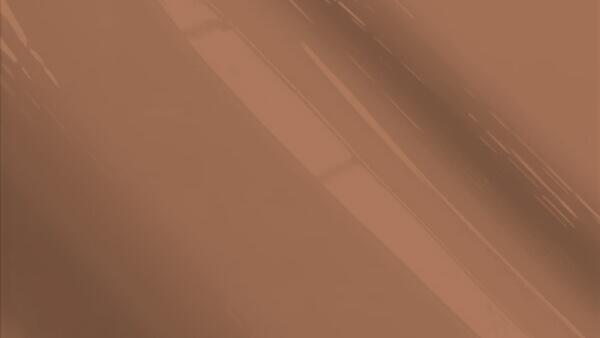 Medium Brown Metallic