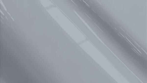 Desert Silver Metallic