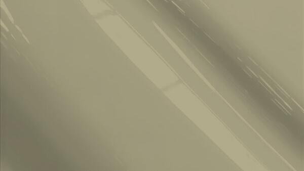 Mojave Beige Metallic