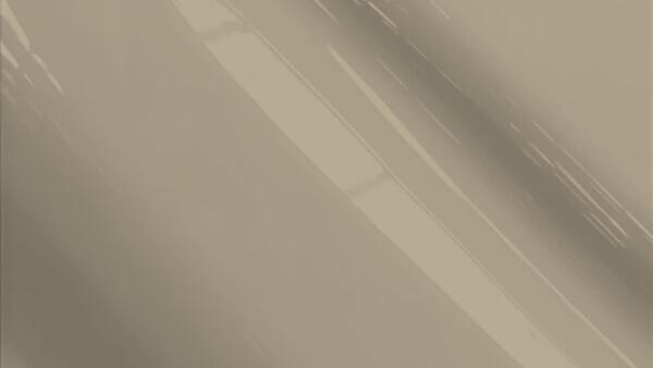 Brite Platinum Metallic