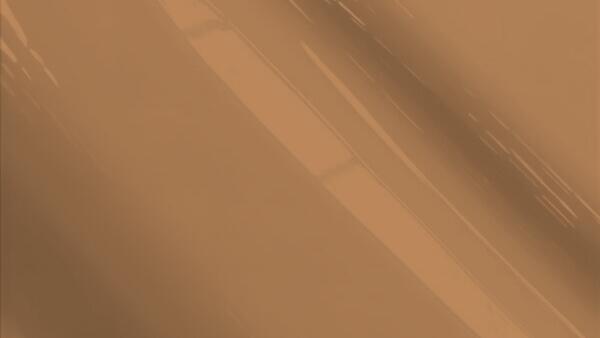 Woodland Brown Satin Glow (5698)