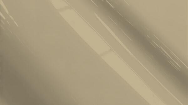 Medium Dark Pewter (Interior Color)