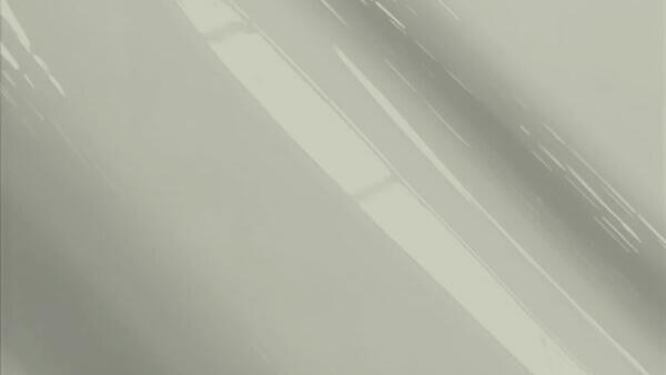 Light Silver Metallic