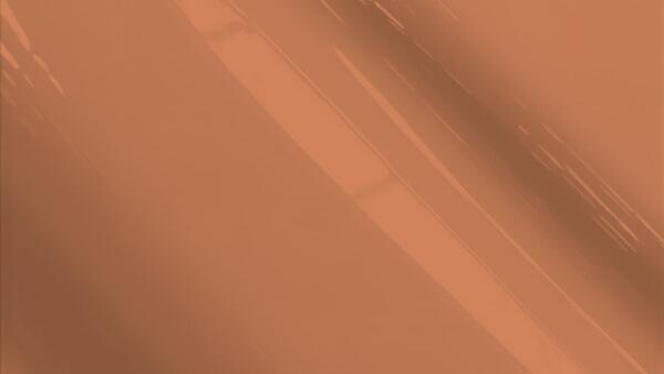 Medium Brown Metallic