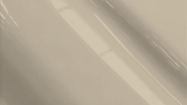 Flash Silver  Metallic