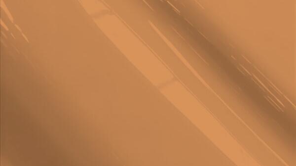 Copper Coral Metallic