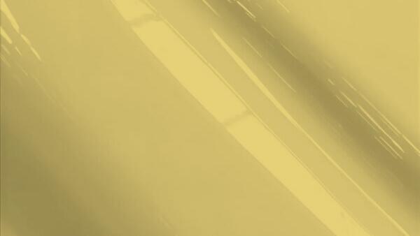 Pewter Beige Metallic